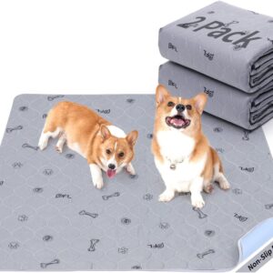 Washable Pee Pads for Dogs